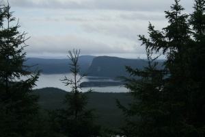 zicht op Bonavista Bay | Terra Nova National Park